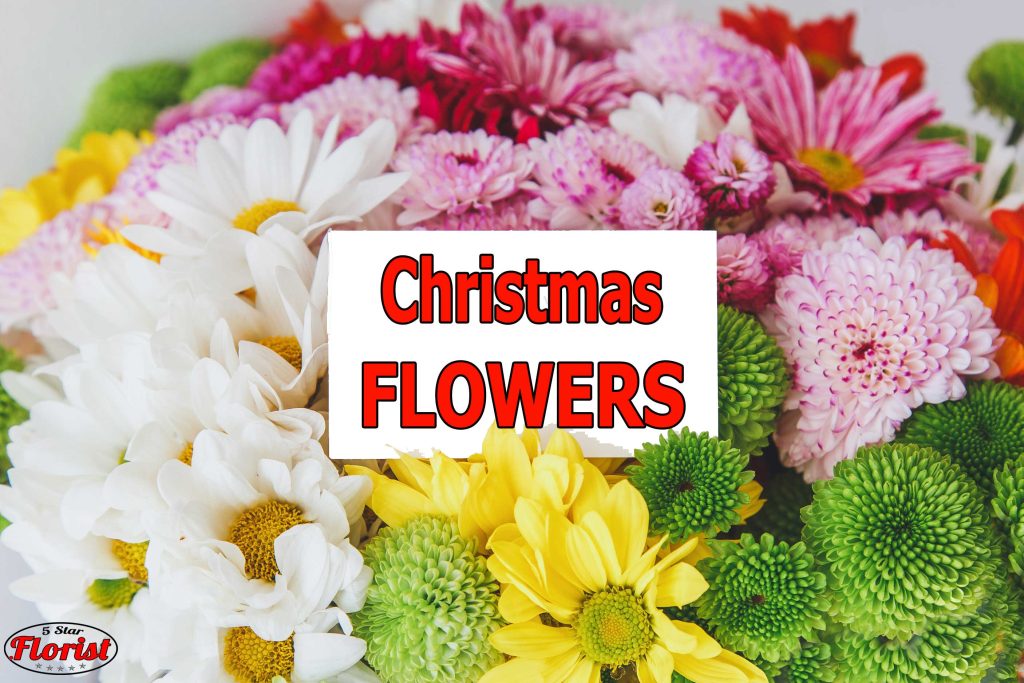 christmas flowers Canton